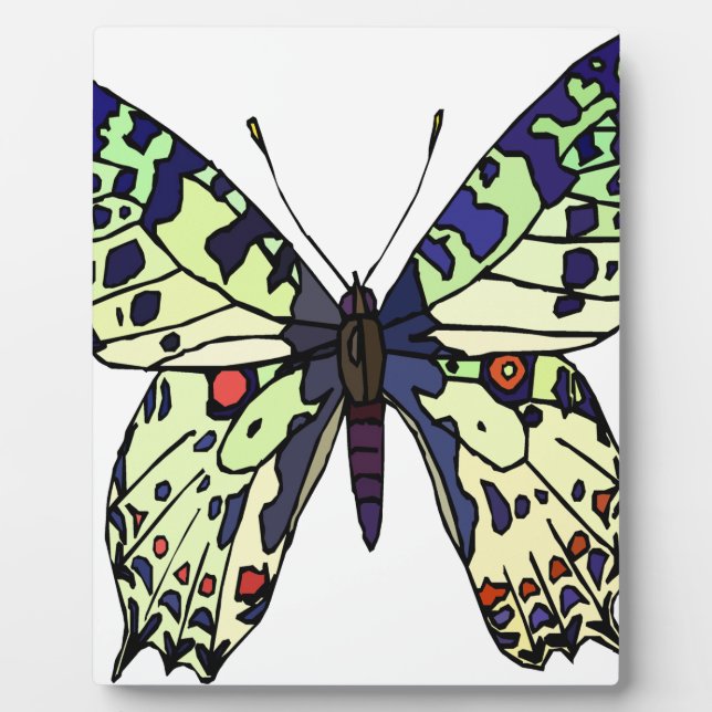 Placa Expositora mariposa acolorosa (Frente)