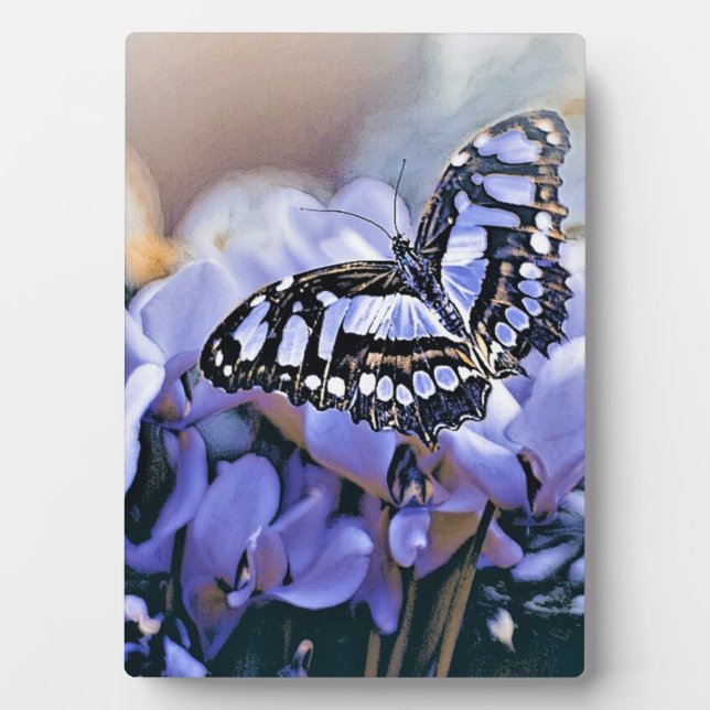 Placa Expositora Mariposa azul (Frente)