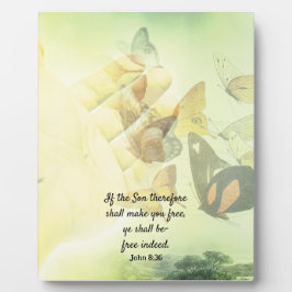 Placa Expositora Mariposa de la mano asustada