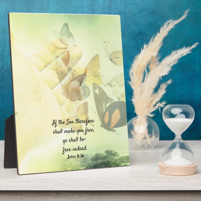 Placa Expositora Mariposa de la mano asustada (Lado)