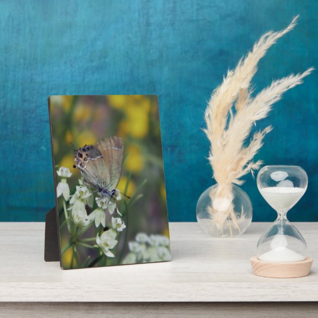 Placa Expositora Mariposa esquiadora en una flor (Lado)