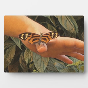 Placa Expositora Mariposa monarca amigable