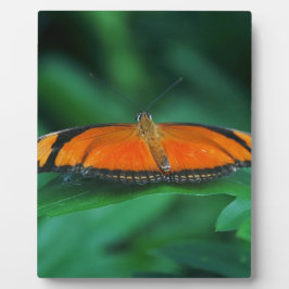 Placa Expositora Mariposa naranja brillante y negra en hoja