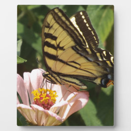 Placa Expositora Mariposa y flor