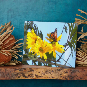 Placa Expositora Mariposa y girasol