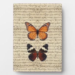 Placa Expositora mariposas