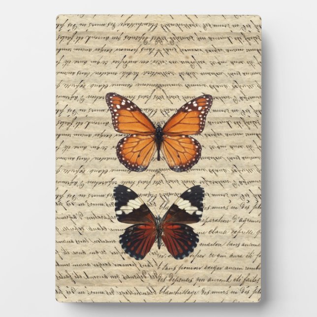 Placa Expositora mariposas (Frente)