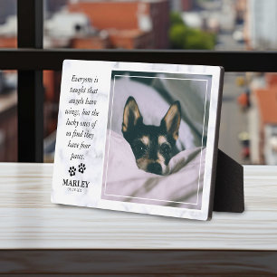 Placa Expositora Mármol Pérdida de Mascota Memorial de Mascota Foto