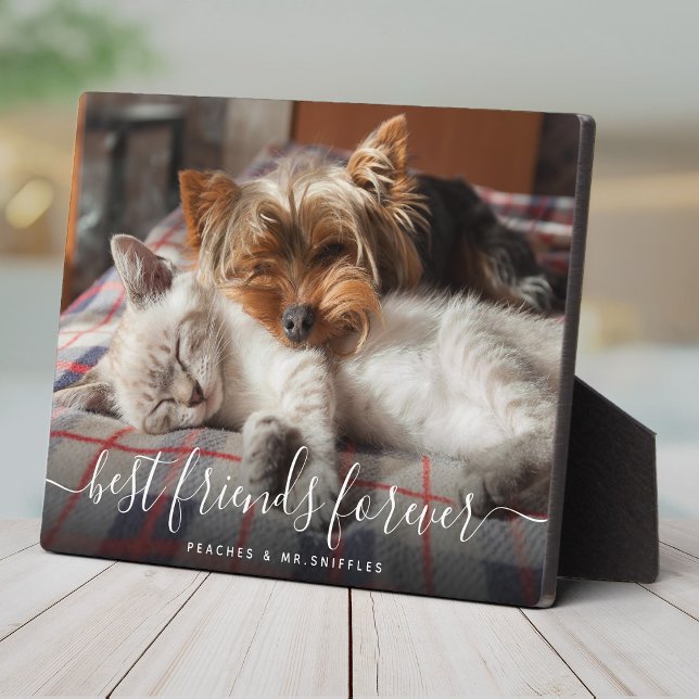 Placa Expositora Mascota Amigos Mejores Amigos Para Siempre BFF Bes (Subido por el creador)