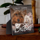 Placa Expositora Mascota Amigos Perro Papá Mamá Gato Regalo BFF Bes<br><div class="desc">¿Tienes mascotas que son mejores amigos? Celebre las BESTIES con esta placa fotográfica con guión de pincel moderno mostrando una foto favorita de sus bebés de piel así como sus nombres. Fácil de personalizar, este será un gran regalo para cualquier madre de gato, padre de perro o fanático del amor...</div>
