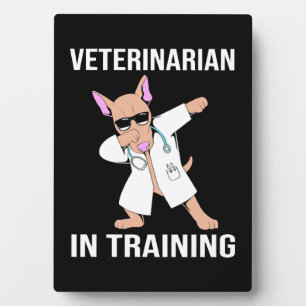 Placa Expositora Mascota de gafas de sol para perros veteranos