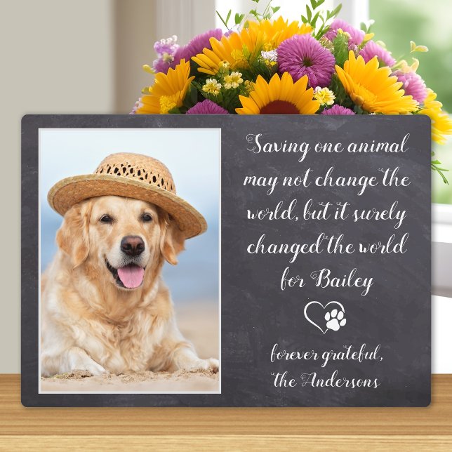 Placa Expositora Mascota de perro de agradecimiento veterinario (Subido por el creador)