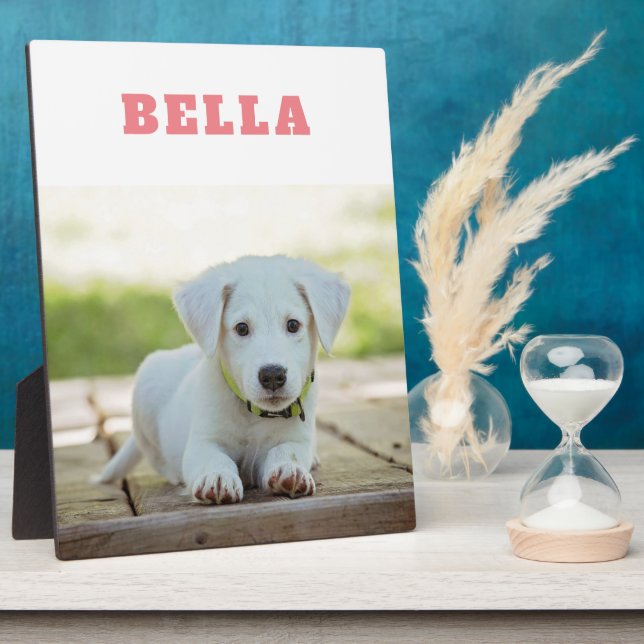 Placa Expositora Mascota Dog Photo Cute Nombre Personalizado Keepsa (Lado)