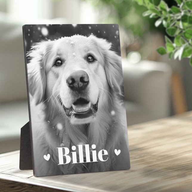 Placa Expositora Mascota gato nombre corazones (Pet dog cat name hearts plaque)