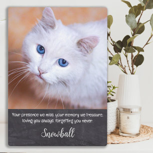 Placa Expositora Mascota Loss Cita Sympathy Keepsake Cat Memorial