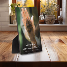 Mascota Loss Dog Photo Remembrique