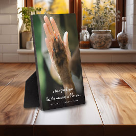 Placa Expositora Mascota Loss Dog Photo Remembrique