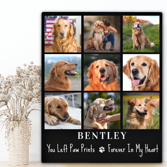 Placa Expositora Mascota Perder Regalo Perro Personalizado 9 Collag (Subido por el creador)