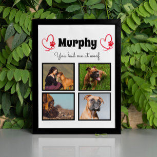 Placa Expositora Mascota perro 4 personalizar de collage de fotos