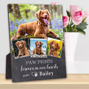 Placa Expositora Mascota personalizado Monumento a Perro Personaliz