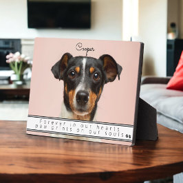 Placa Expositora Mascota recuerda a Keepsake para siempre en nuestr