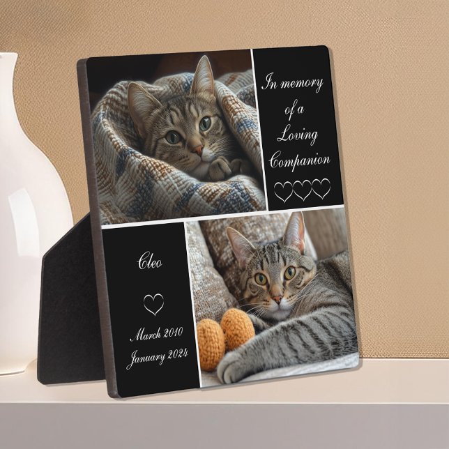 Placa Expositora Mascota Recuerdo conmemorativo Perdida de Gato Per (Pet Memorial Remembrance Dog Cat Loss Keepsake Pet Loss Personalized Plaque)