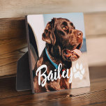 Placa Expositora Mascota Simple y Moderno Nombre y foto de la tipog<br><div class="desc">Este diseño sencillo y moderno se compone de una tipografía de escritura moderna y sencilla. Añadir foto de mascota personalizado.</div>