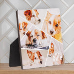 Placa Expositora Mascotas Personalizado simple moderno 6 imágenes C<br><div class="desc">Este diseño sencillo y moderno se compone de tipografía sans serif. Añadir foto de mascota personalizado.</div>