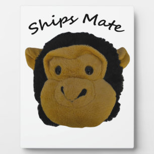 Placa Expositora Mate de barcos