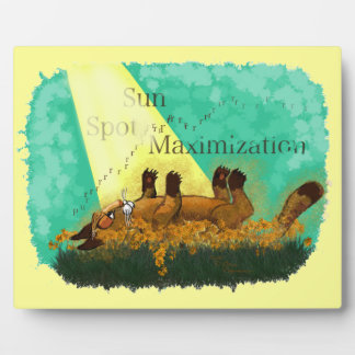 Placa Expositora Maximización de Sun Spot