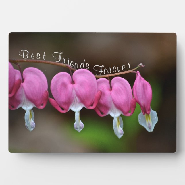 Placa Expositora Mejor Amigos para siempre (Frente)