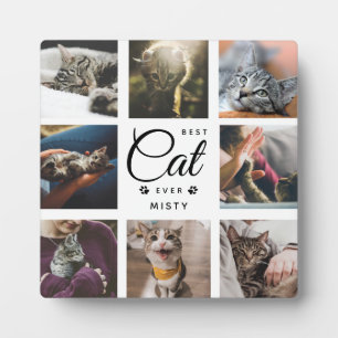 Placa Expositora Mejor Gato de Todos los Tiempos Regalo Conmemorati