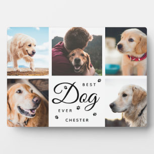 Placa Expositora Mejor Perro del Mundo Memorial Patas Collage de Fo