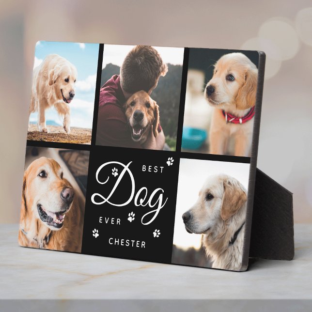 Placa Expositora Mejores Patas en Memoria de Perro Collage de Fotos (Subido por el creador)