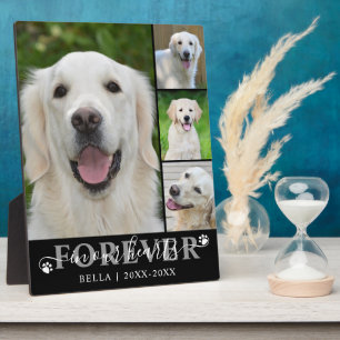 Placa Expositora Memorial Canino 4 Foto Por Siempre en Nuestros Cor