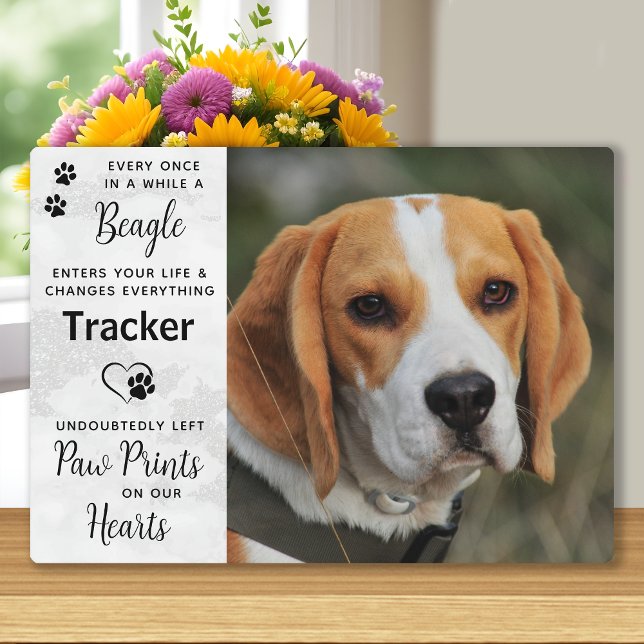 Placa Expositora Memorial de Beagle con Foto Personalizada (Subido por el creador)