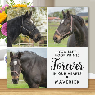 Placa Expositora Memorial de Caballo Colaje Personalizado de 3 Foto