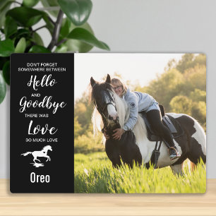 Placa Expositora Memorial de Caballo Keepsake Simpatía Mascota Loss