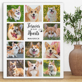 Placa Expositora Memorial de Mascota Para Siempre en Nuestros Coraz