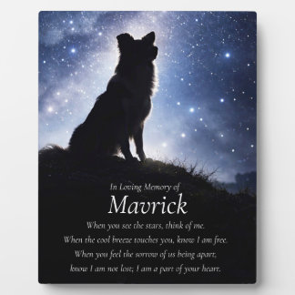 Placa Expositora Memorial de Perro Border Collie Nombre Personaliza