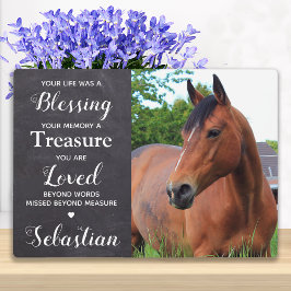 Placa Expositora Memorial Mascota personalizado Keepsake Horse Phot