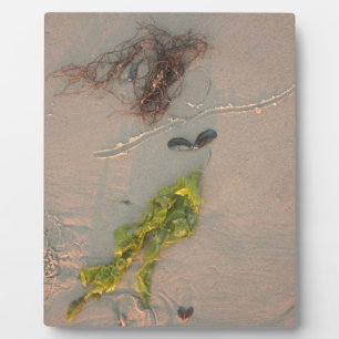 Placa Expositora Mermaid