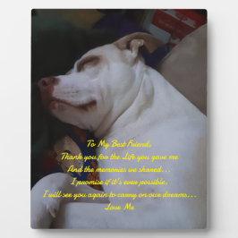 Placa Expositora Mi mejor amigo