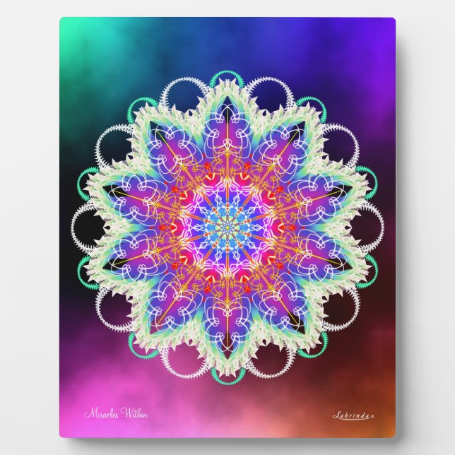 Placa Expositora Milagros dentro de (Frente)