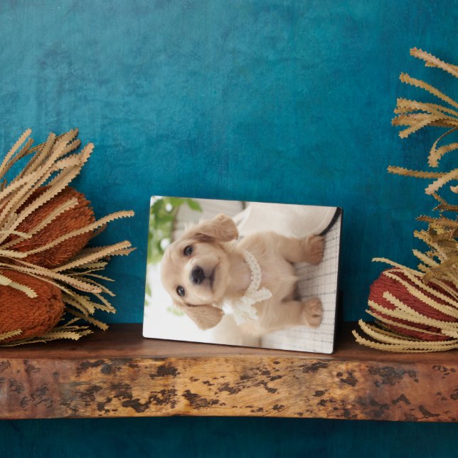 Placa Expositora Miniatura de Dachshund (Lado)