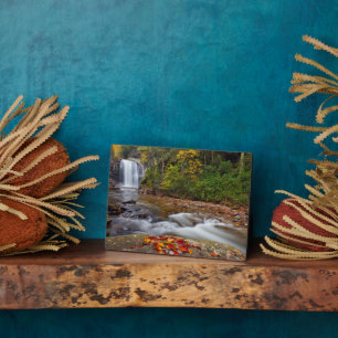 Placa Expositora Mirando el bosque nacional de Pisgah