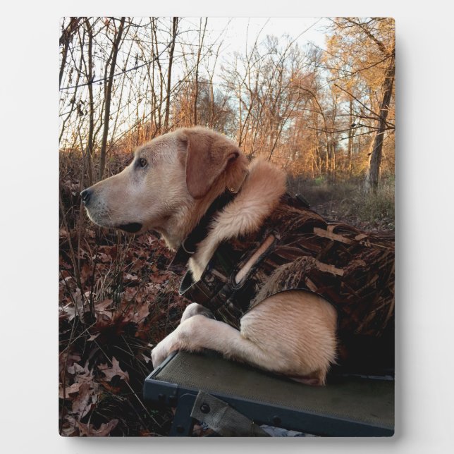 Placa Expositora Misil de pato recuperador de labrador en la plataf (Frente)