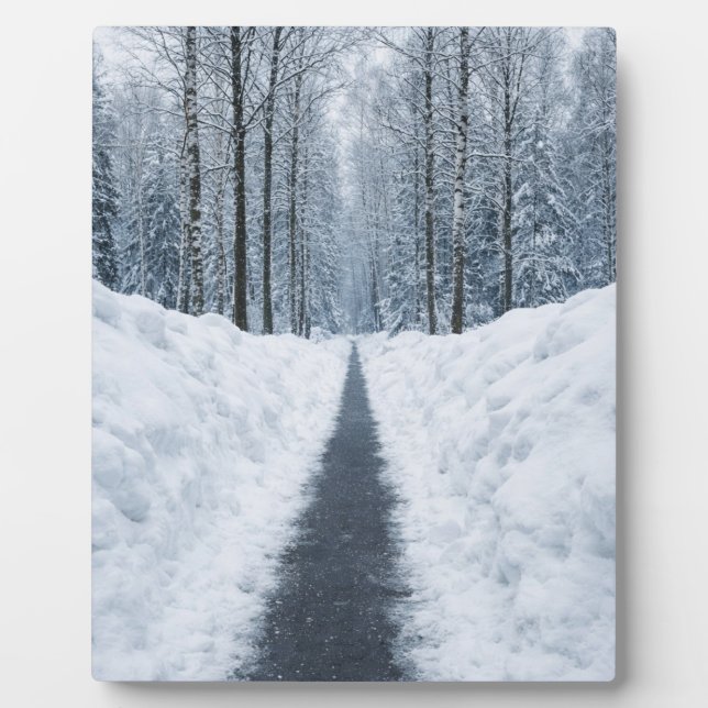 Placa Expositora Misty Winter Forest Path Winter Landscape Poster (Frente)