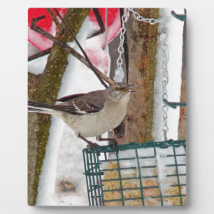 Placa Expositora Mockingbird