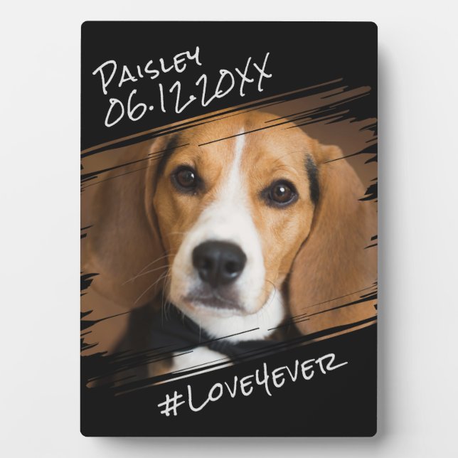 Placa Expositora Moda moderna Elegante simple Mascota negro perro K (Frente)